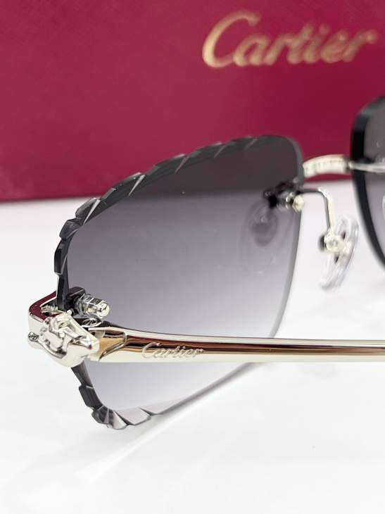 Picture of Cartier Sunglasses _SKUfw80239054fw